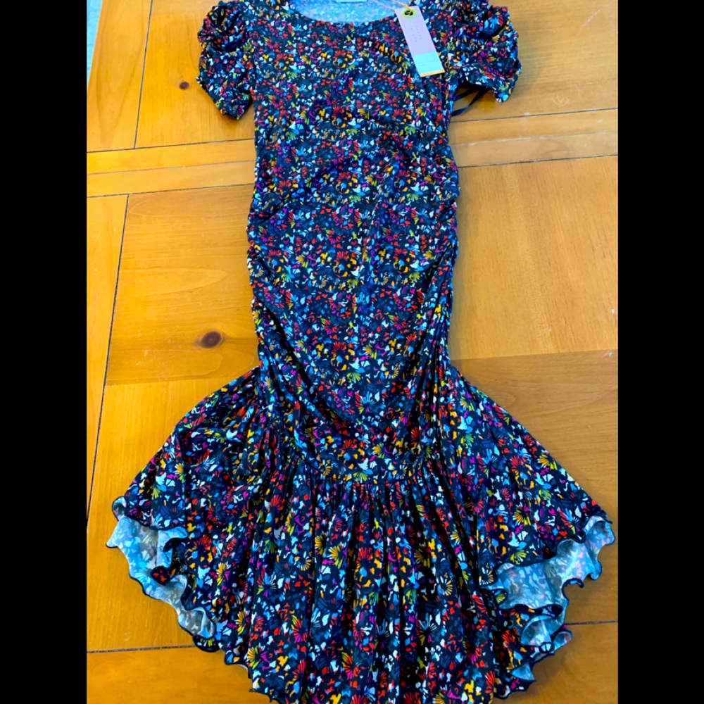 NWT  Tanya Taylor Dress